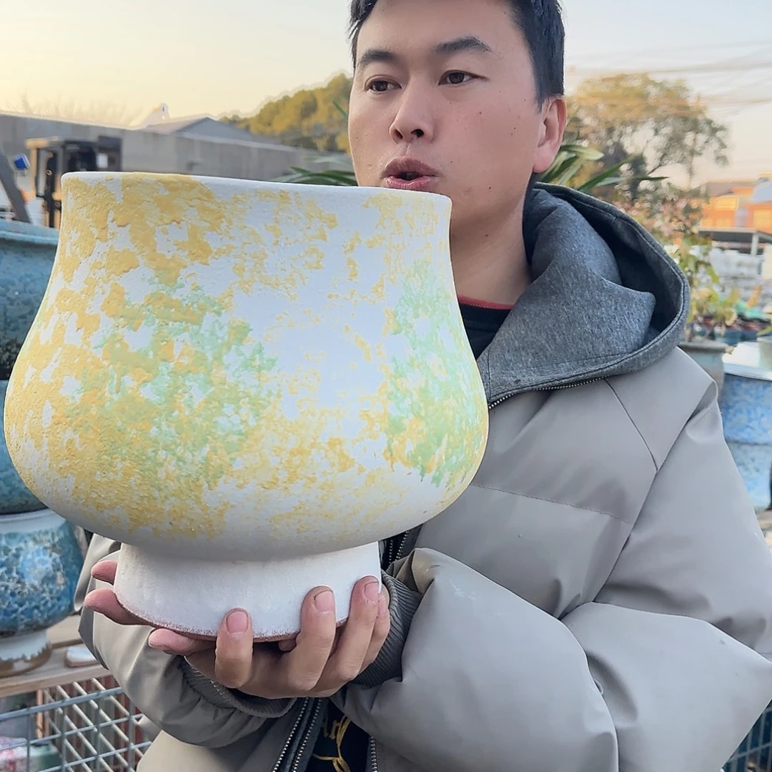 王嫂花盆1227-163高28口22