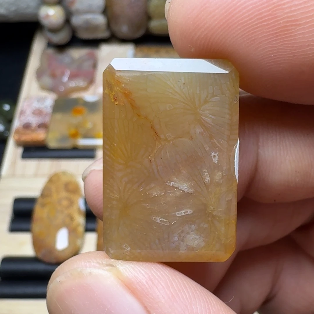 硅化玉未镶嵌纯天然色有机玉石保真色