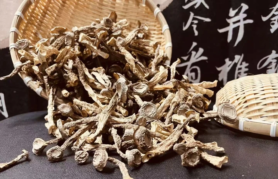 鹿茸菇 150克 可煲汤泡茶