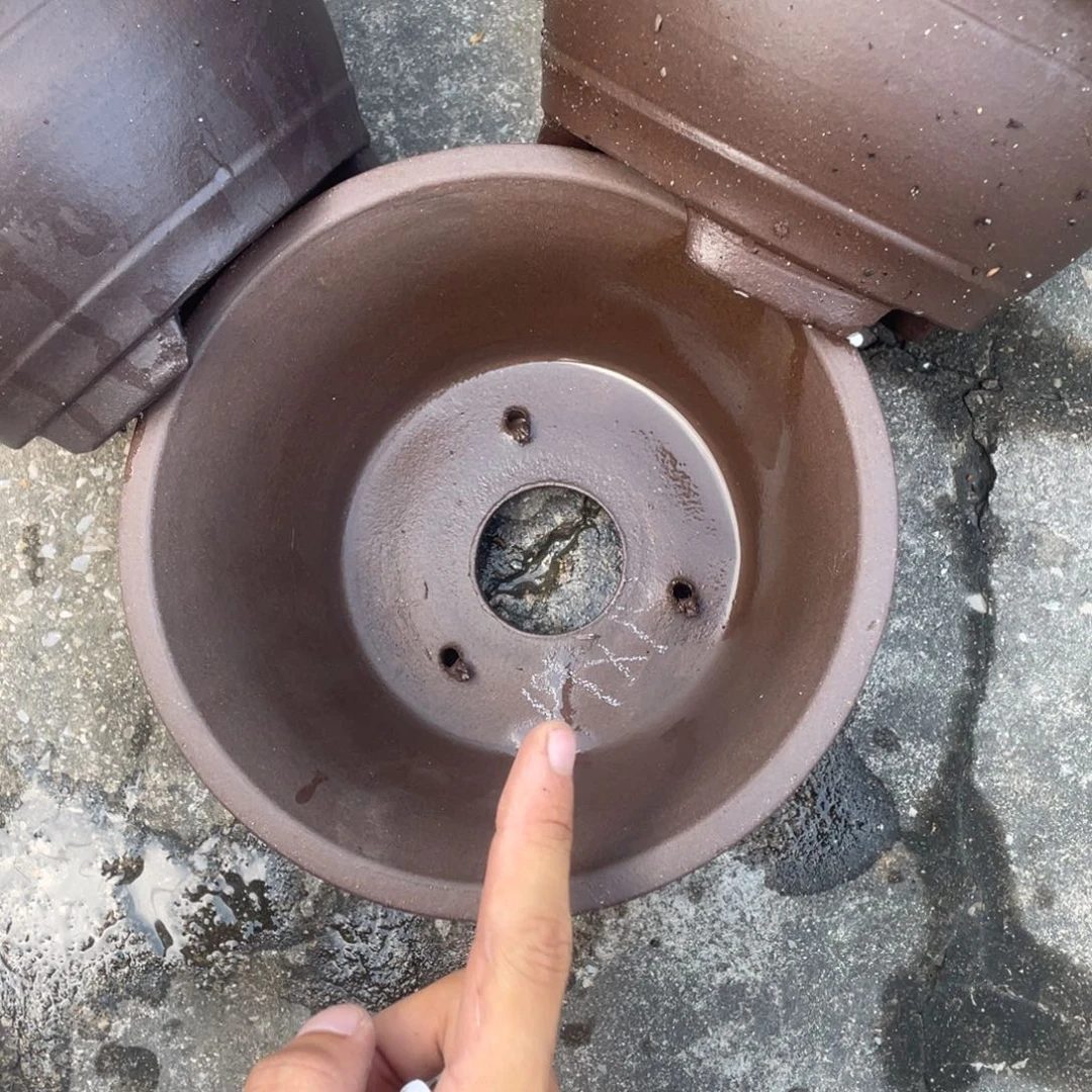 紫砂花盆花盆盆阿婆