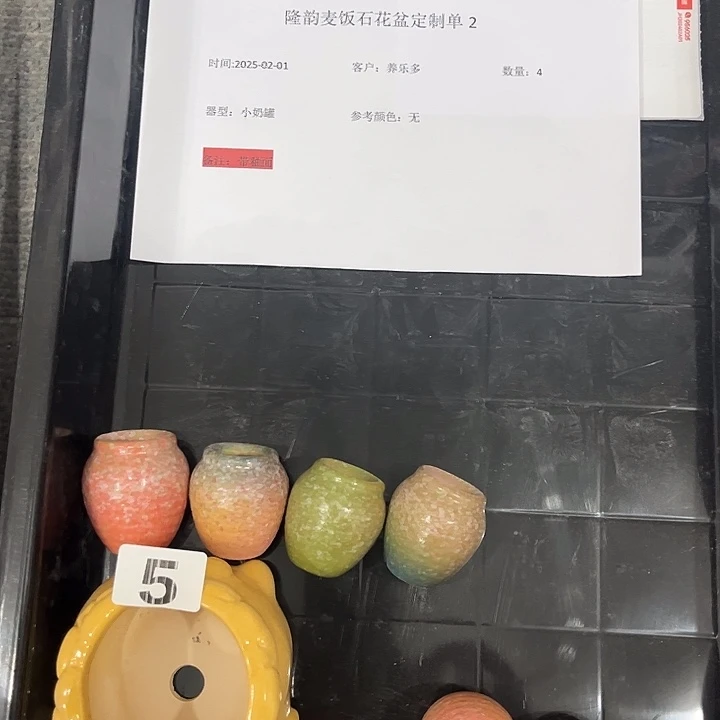 陶养乐多小姐姐专属定制盆盆