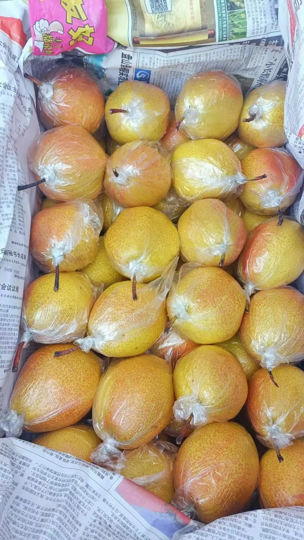 蓟州特产 杨家峪村红香酥 脆甜 汁水充足3kg