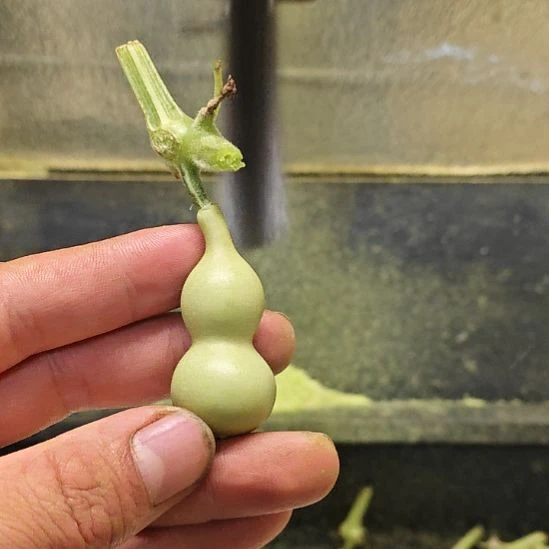 难***潇天津嘴儿咕噜咕噜