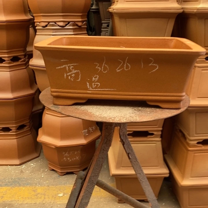 花盆紫砂只顾看你的