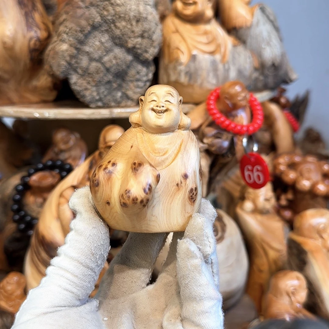 柏木（崖柏）66666666666