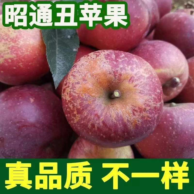 【产地直发】云南昭通高山冰糖心丑苹果新鲜现摘脆甜多汁水果