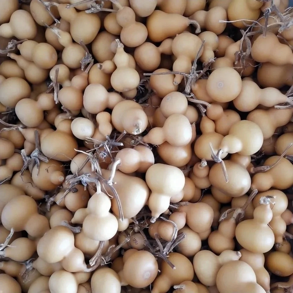 拍一发100个天然小葫芦手把件盘玩文玩带龙头优选福禄葫芦