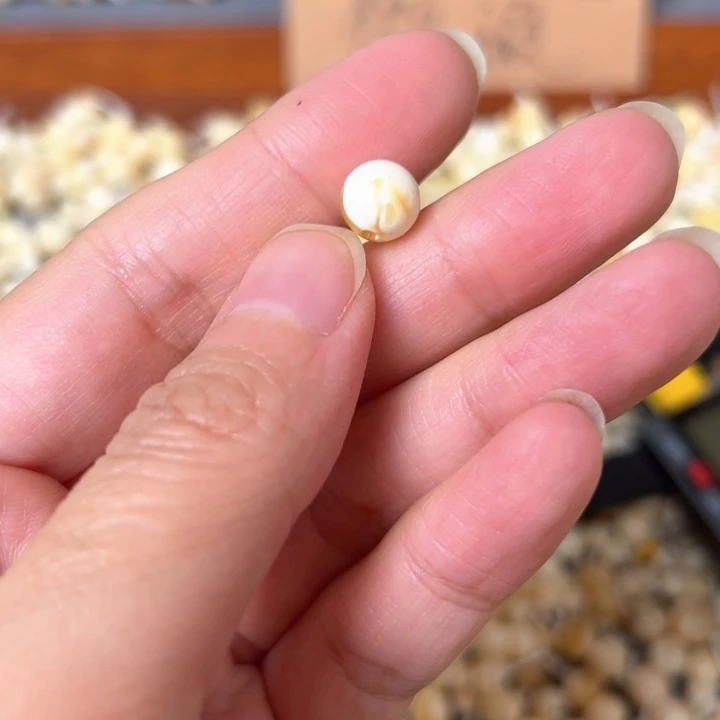 蜜蜡未镶嵌裸石8mm一个