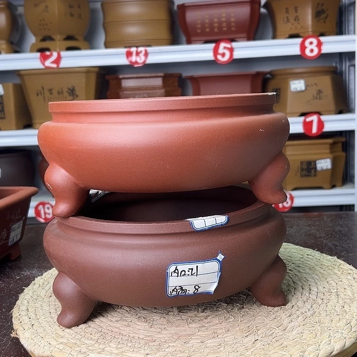 紫砂花盆蛇年大吉