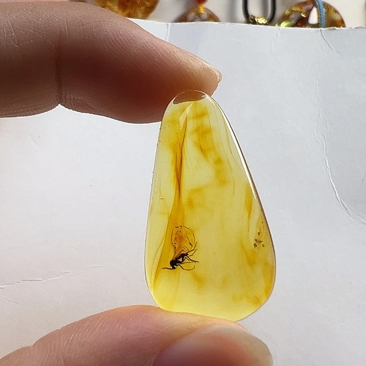 虫珀颈饰未镶嵌虫珀
