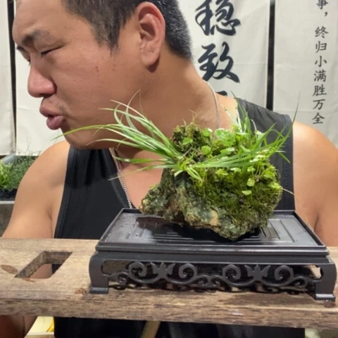 一物一拍所见即所得160