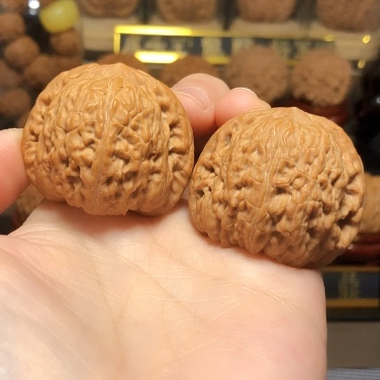 精品野生泥鳅背全品