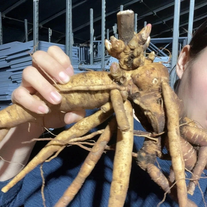 当前无花栽培后可以开花树莓冰沙1年