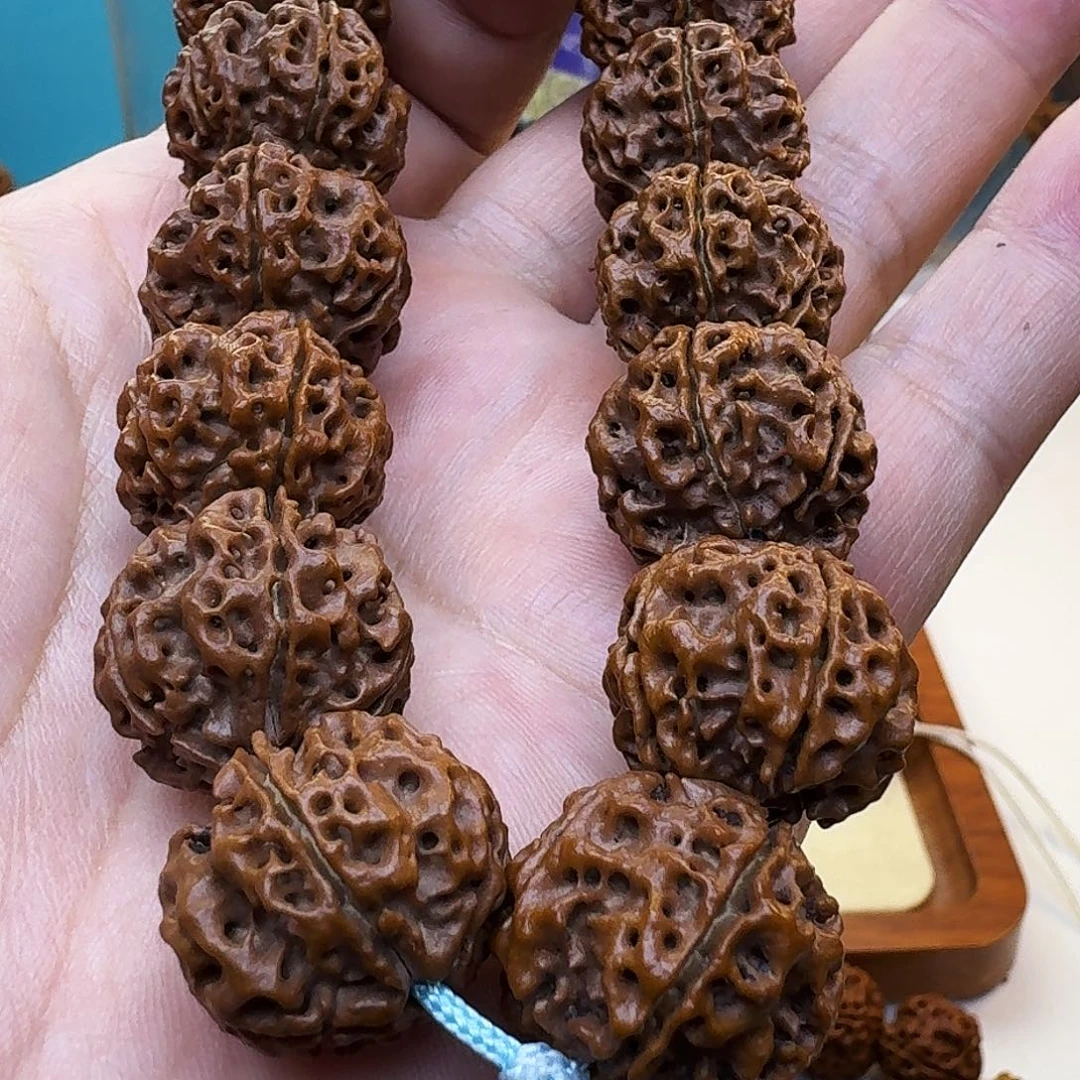 金刚菩提手串蜂窝双龙