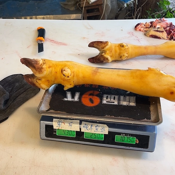 18包装安哥拉明本宝宝c吃吧