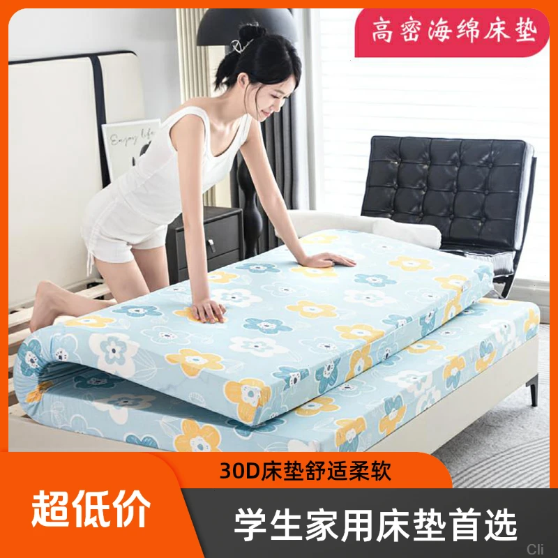 可折叠海绵床垫软垫家用床垫褥子宿舍单人租房折叠垫高密度海绵块