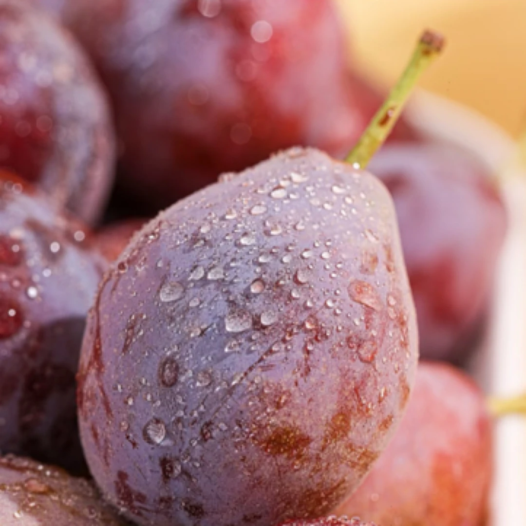 西梅 1斤左右 1J