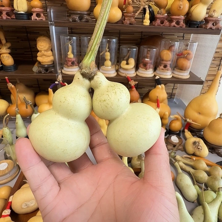 小***葫连嘴八宝葫芦闪拍