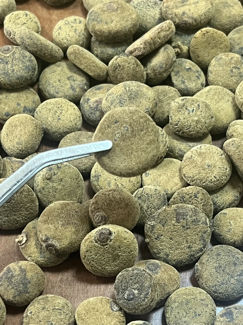 正宗化州正毛橘红果饼