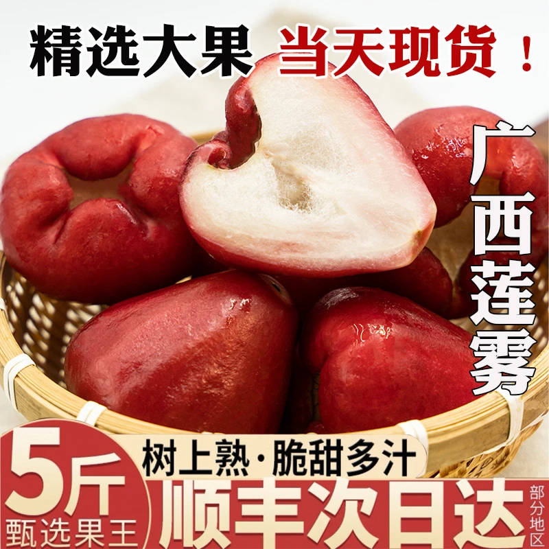 广西九哥莲雾新鲜水果脆甜莲雾果精选多汁采摘品质清香果香饱满