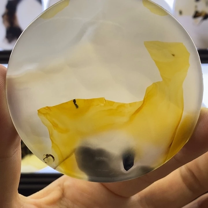 玛瑙/玉髓合金颈饰