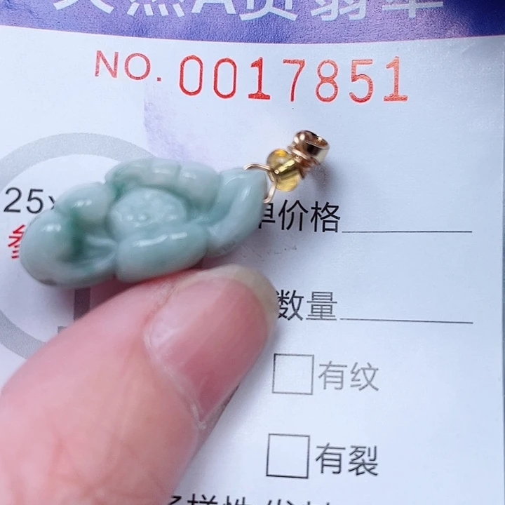 吊坠(赠链)未镶嵌翡翠