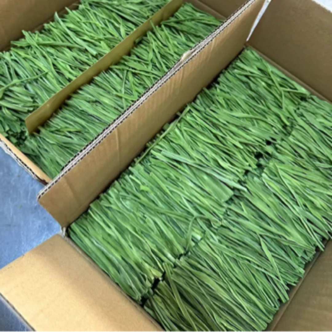 【翡叶 只做精品】云南大理高品质贡菜干50G