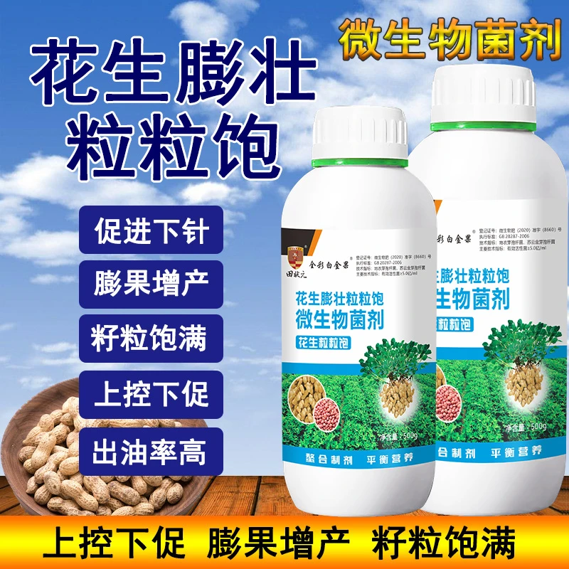 花生膨壮粒粒饱绿叶壮棵花生膨大籽粒饱满提高产量增产专用叶面肥