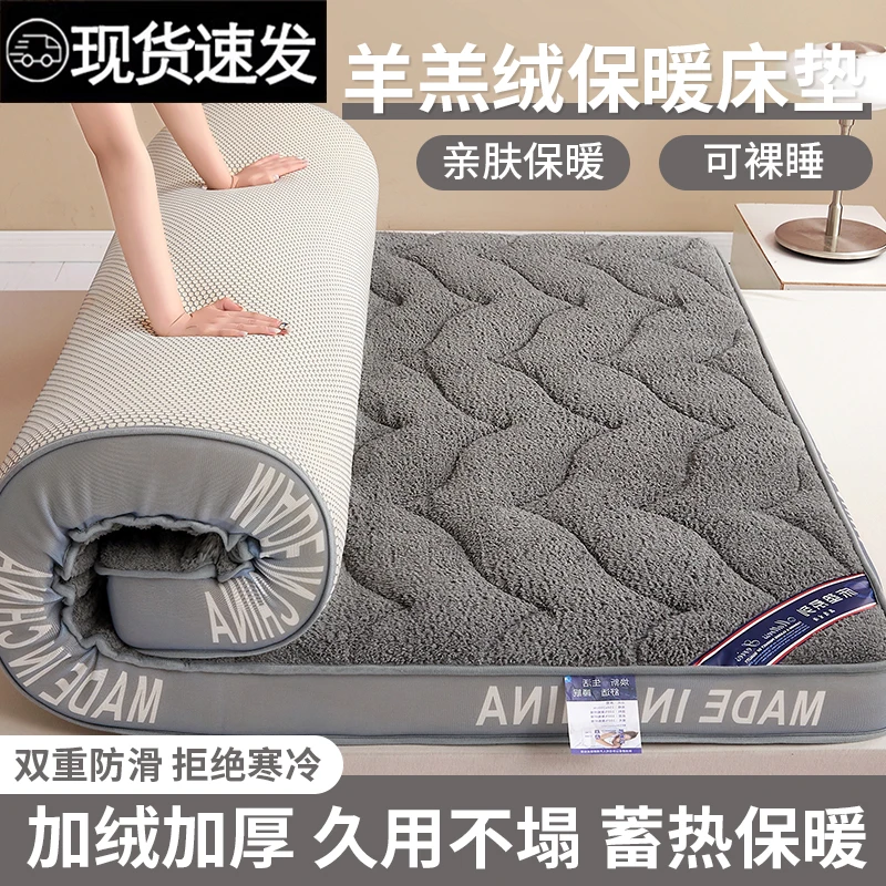 立体床垫冬季家用加厚羊羔绒保暖软垫褥子学生宿舍单人出租房垫被
