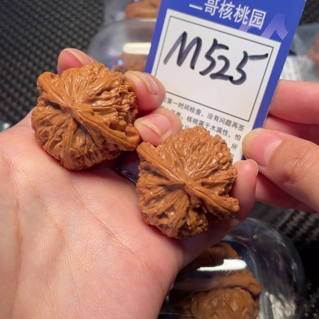 把件桃核M525号白狮子40