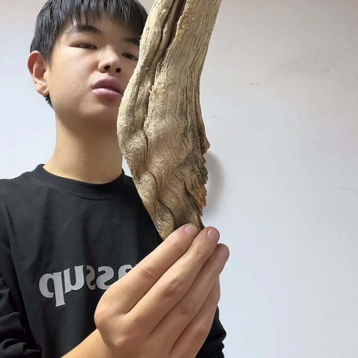 向***生柏木我也不想说我的名字真的