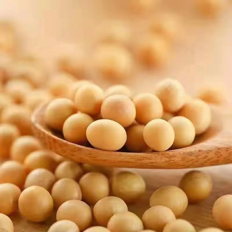 东北黄豆农家大豆生豆芽打豆浆豆5斤农家自种新黄豆