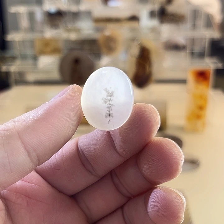 未镶嵌吊坠(不含链)玛瑙/玉髓