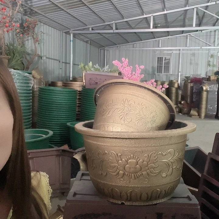 盆景8865488855599