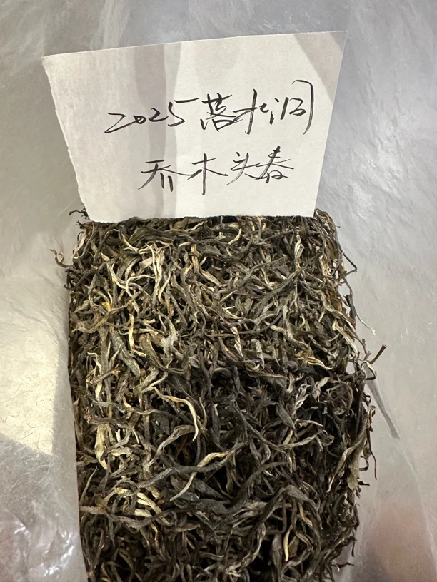 《厂长私藏》2025年落水洞生茶60g