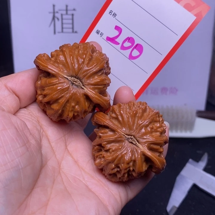 把件文玩核桃200，46白狮子
