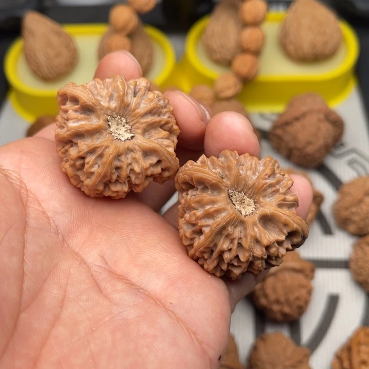 文玩核桃把件40凹底龙门涧
