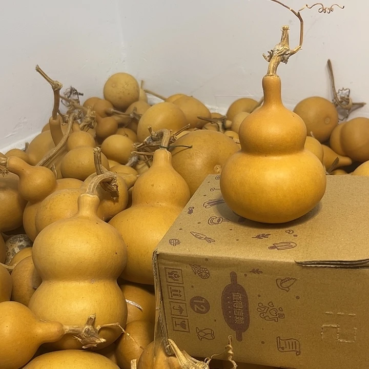 葫芦老皮八宝葫芦一个