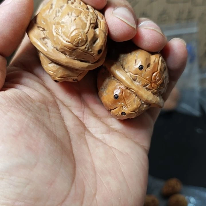 橄榄核其他贪财好色