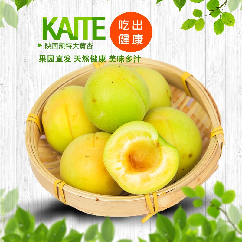 2025凯特大黄杏新鲜杏子现摘凯特杏子孕妇酸甜应季水果大黄杏