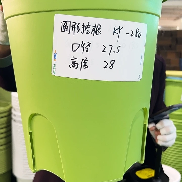 正品圆控口27高28果绿5只带托