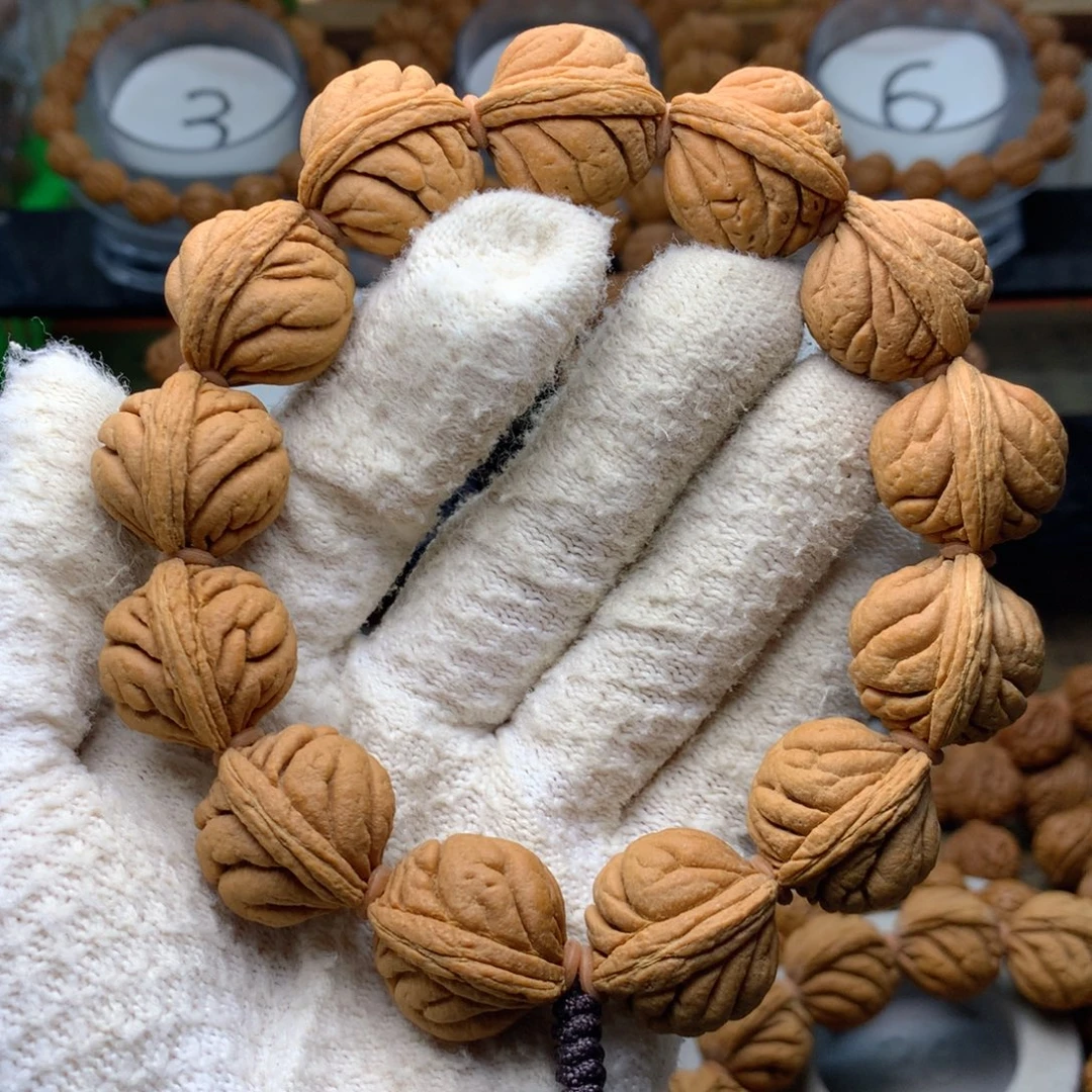 手串桃核无修霸王龙