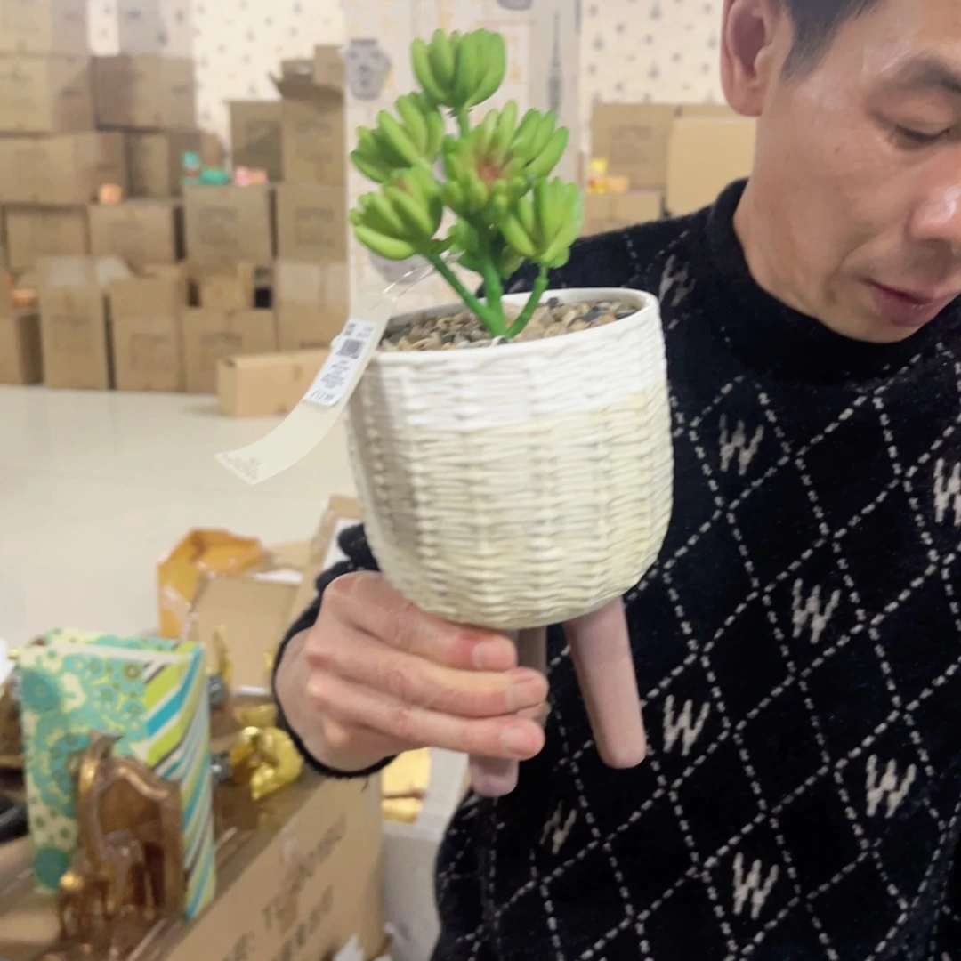 红陶红陶红陶红陶多肉