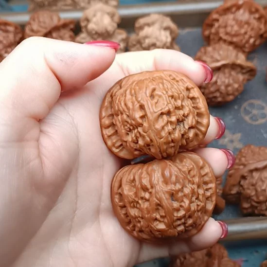 核桃白狮子头狮子头狮子头