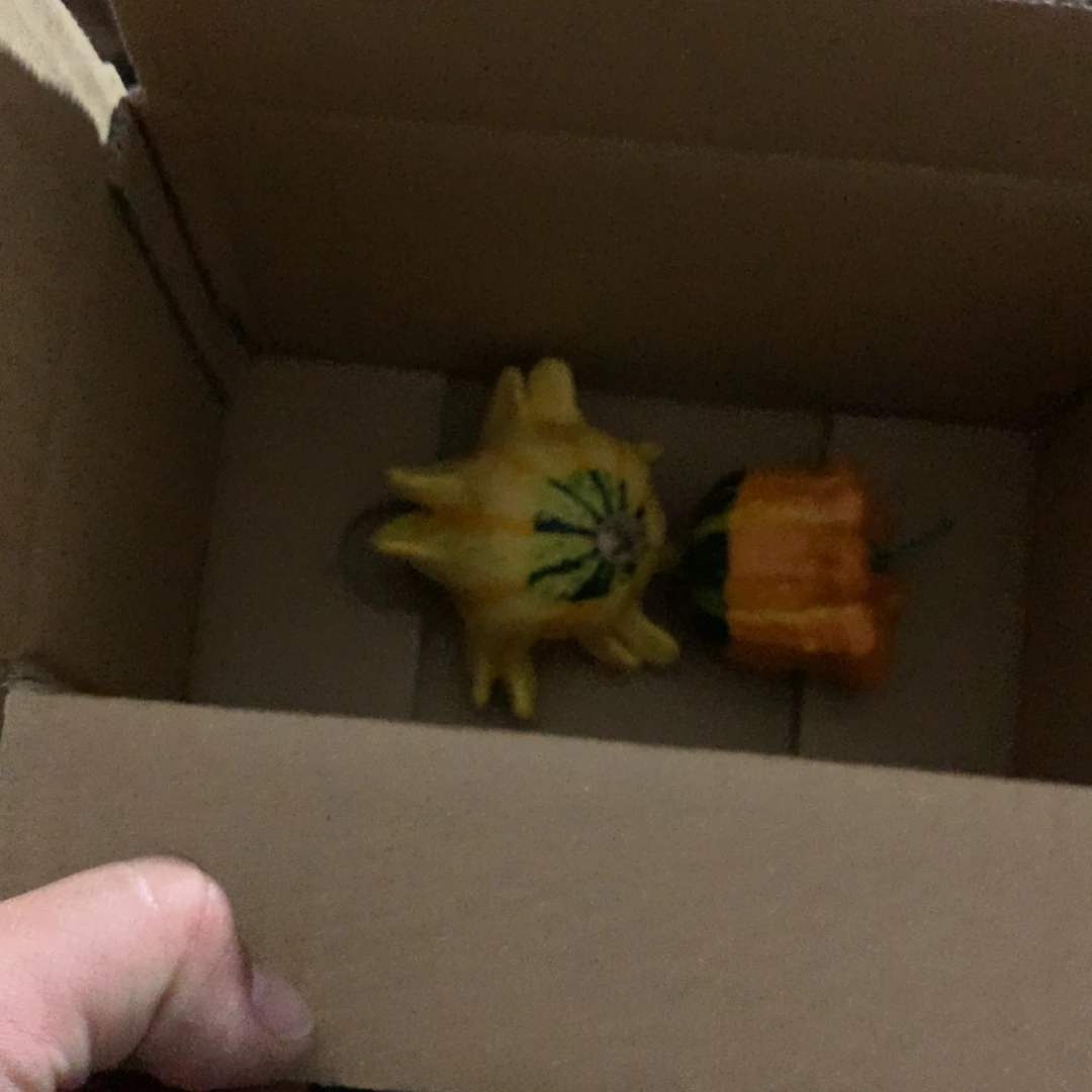 _****y墨西哥！墨西哥！墨西哥