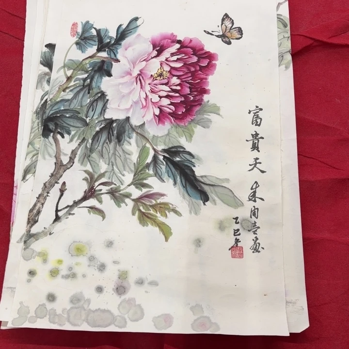 国画花鸟等图案和造型各有