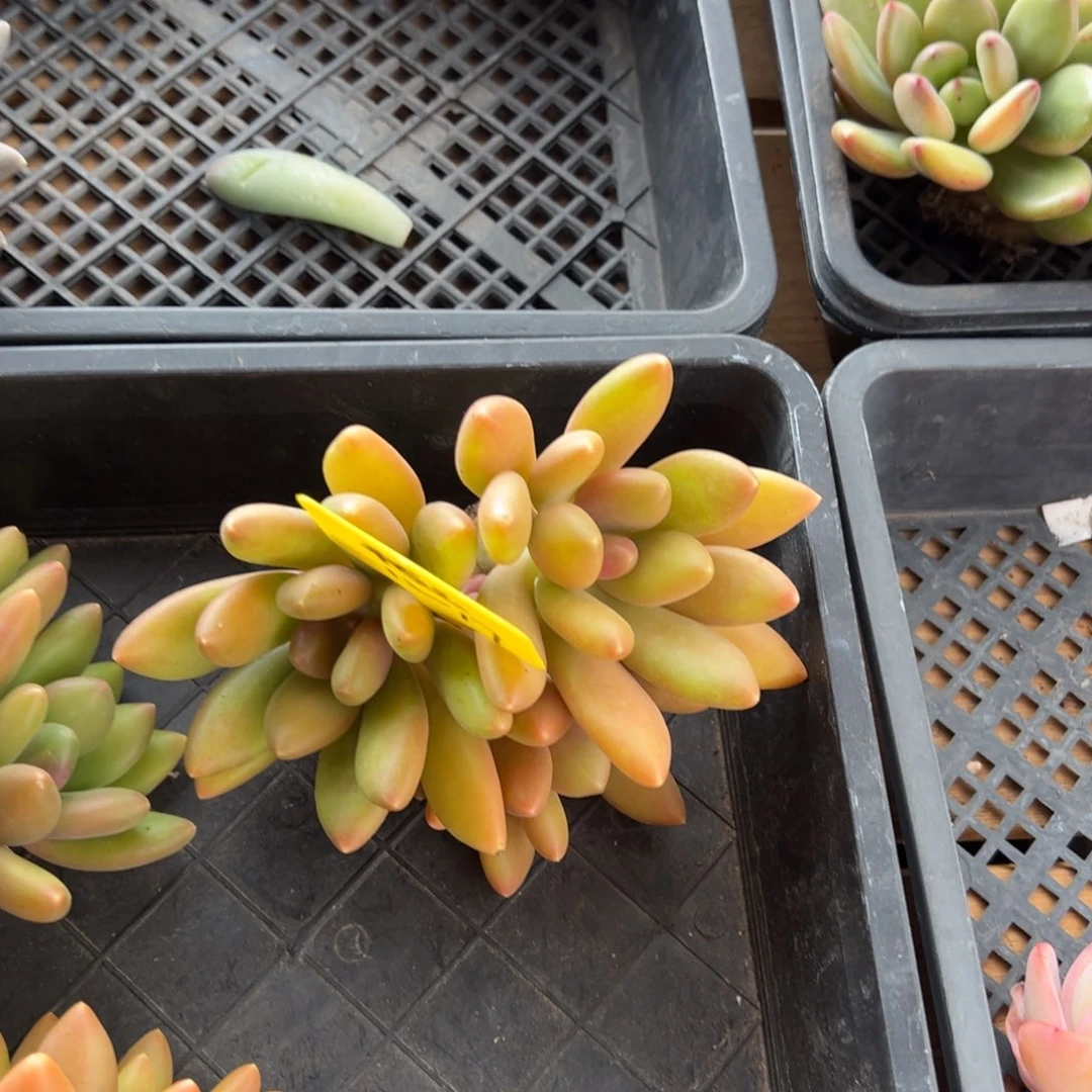 1217111111111111111111