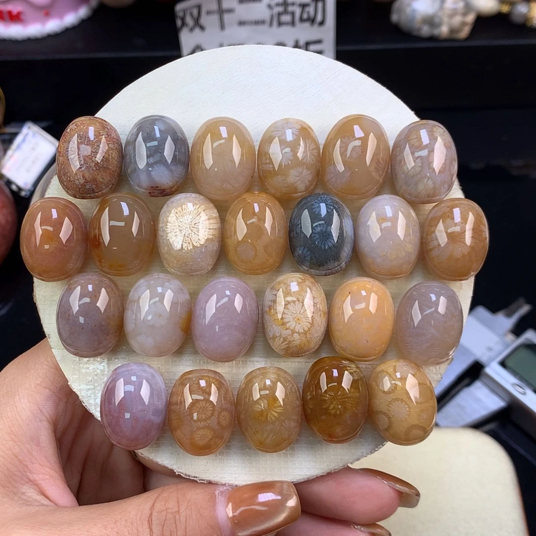 【闪购商品】颈饰未镶嵌硅化珊瑚（珊瑚玉）龟背120一个可挑（66号）