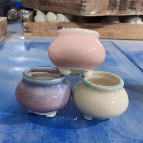 红陶订单凑满12包邮