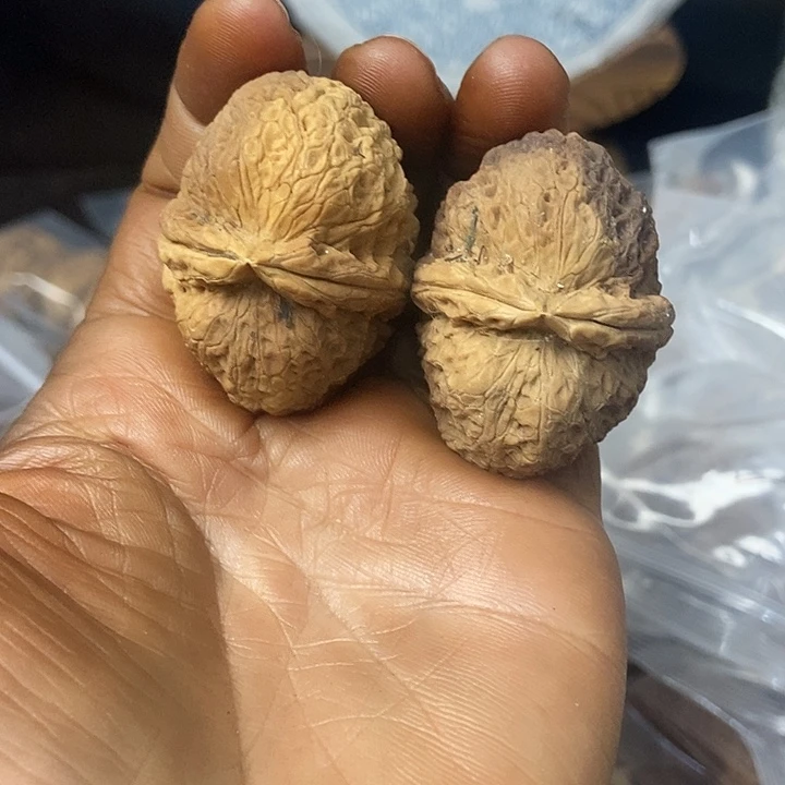把件文玩核桃云南铁核桃基地53